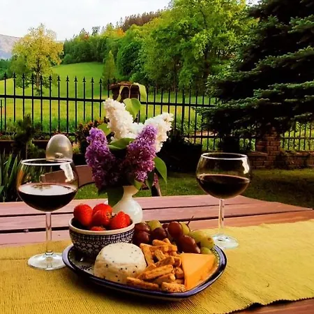 Gorski Widok Karpacz Apartamenty I Pokoje- Salon Kominkowy