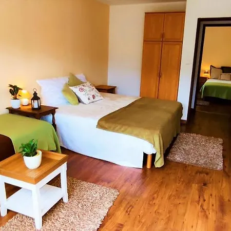 Gorski Widok Karpacz Apartamenty I Pokoje- Salon Kominkowy Homestay