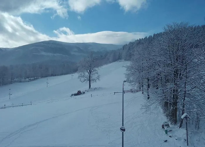 Gorski Widok I Pokoje- Salon Kominkowy Kwatera prywatna